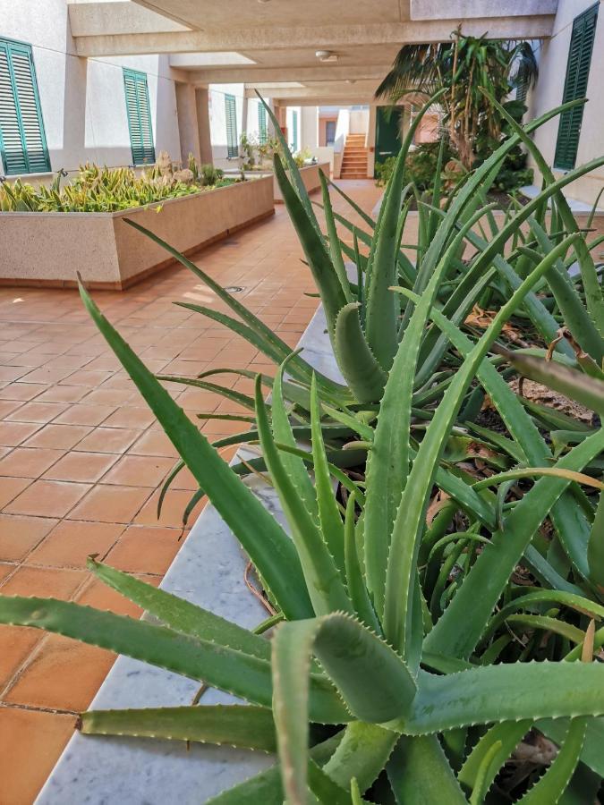Balancon Pool Apartman El Médano Kültér fotó